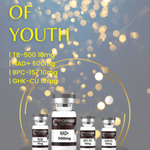 FOUNTAIN OF YOUTH