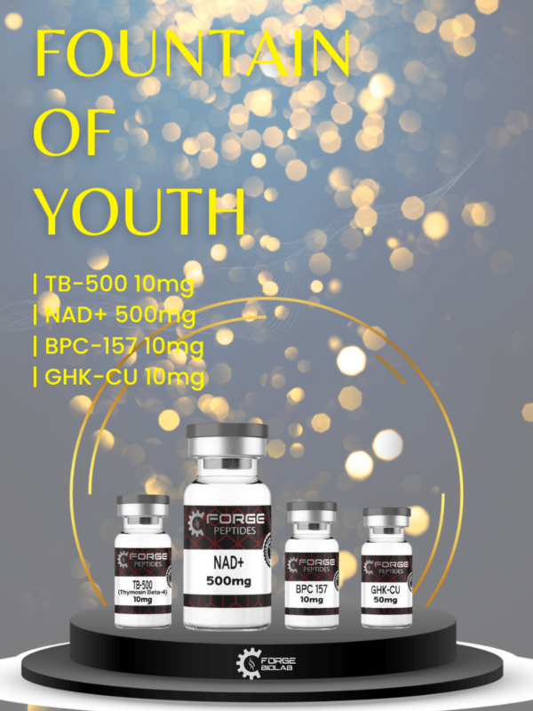 FOUNTAIN OF YOUTH